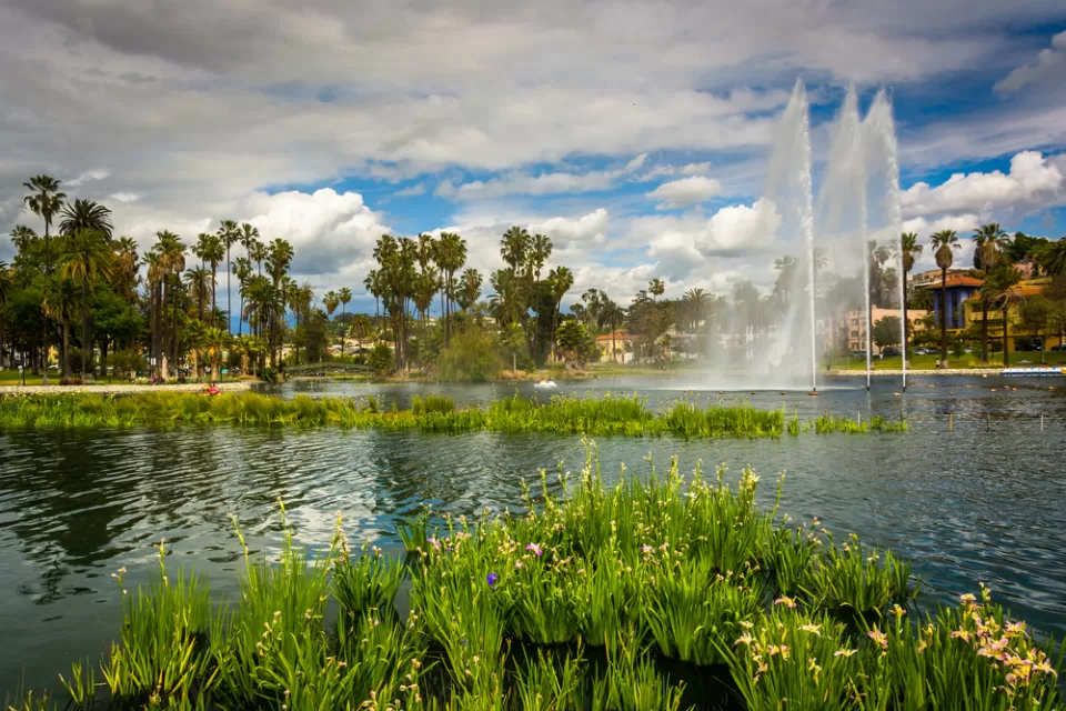 Echo Park Lake with tall artesian fountain, palm trees and apartment buildings in background.